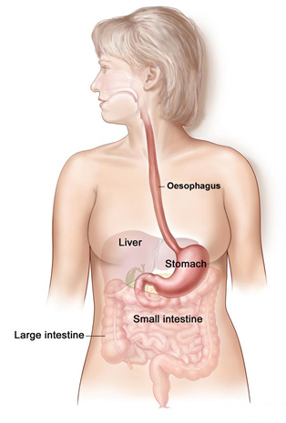 gastroscopy